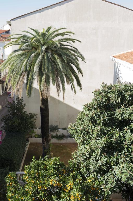 Appartement Cannes Rue Marceau Room photo